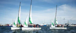 RS Sailing RS Quest 12 RS Sailing RS Quest -Hobi Boat Shop rs sailing rs quest 4